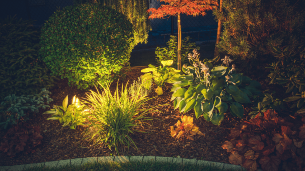 Great Garden Lighting Ideas for Homeowners